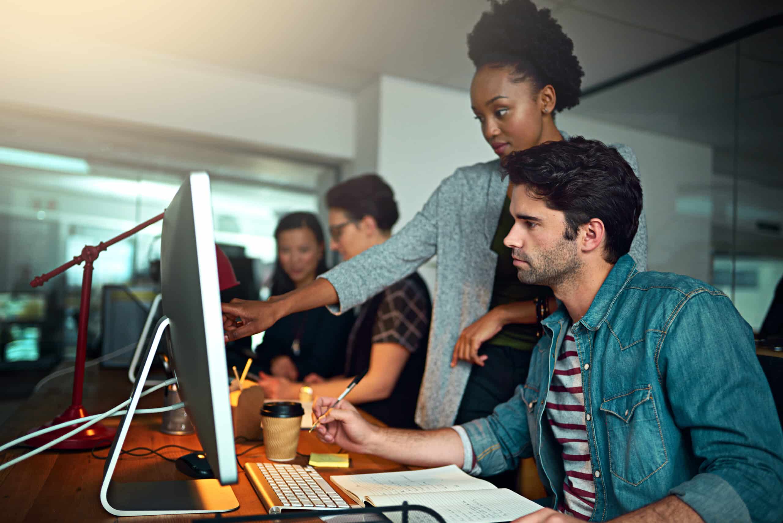 people working at computer